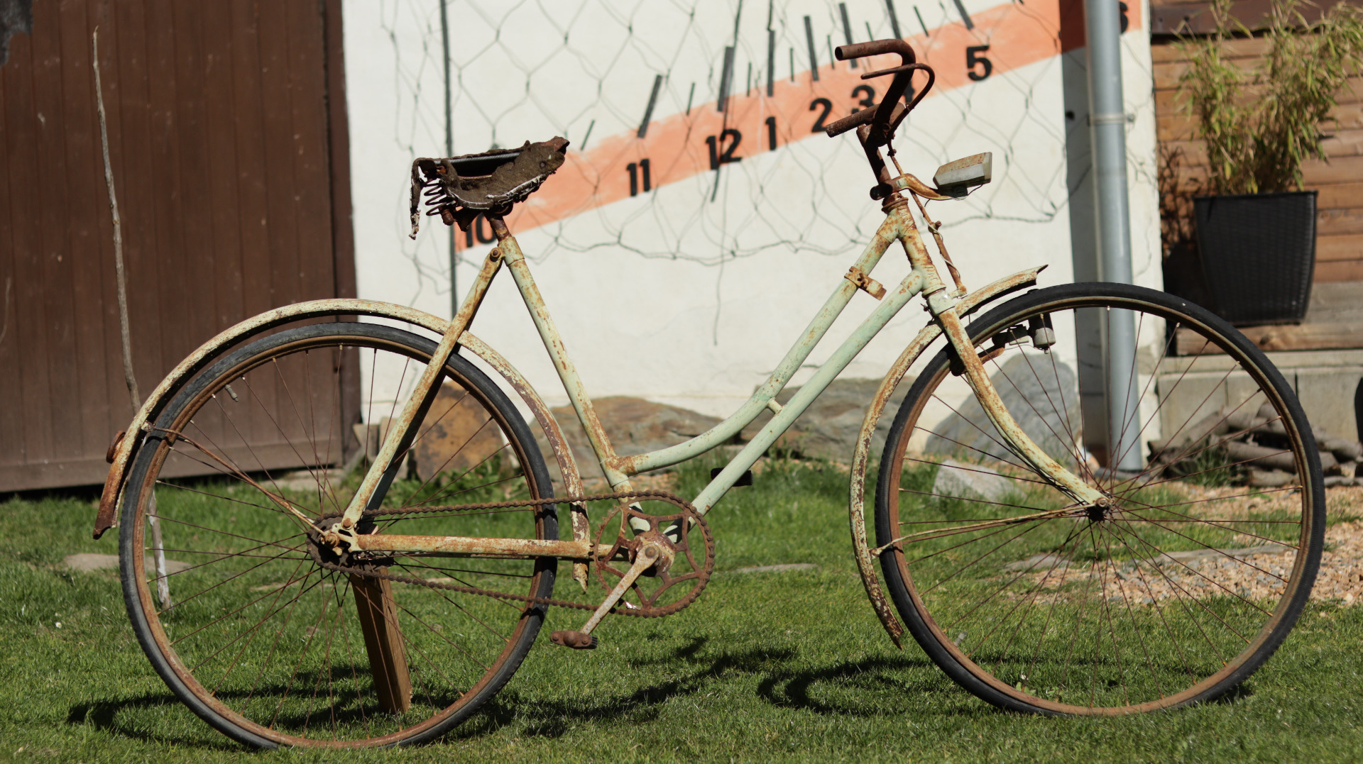 Pamatuje víc než my všichni dohromady. Nejezdí, nespěchá — jen tiše připomíná, odkud cyklistika přišla.